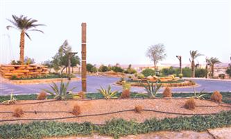 متنزه الملك سلمان البري.. مقصد محبي السياحة البيئية في الرياض 