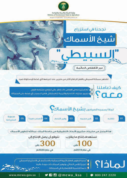 تستهدف الوصول إلى 300 طن بحلول 2020 