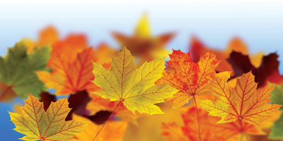 قصص قصيرة جدا 