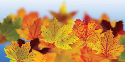 قصص قصيرة جدا 