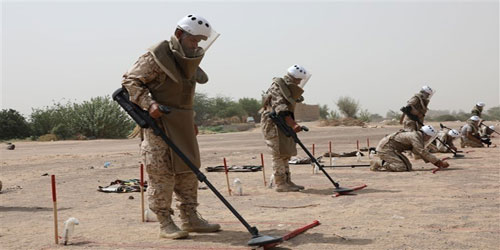 رئيس الوزراء اليمني يشيد بجهود مشروع «مسام» لنزع الألغام 