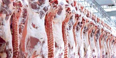 المملكة تخصص 25 ألف ذبيحة من لحوم الهدي والأضاحي لقطاع غزة 