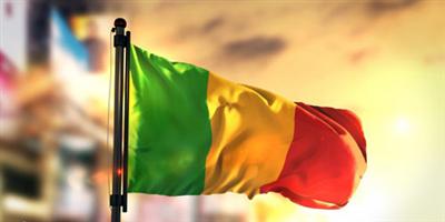 حكومة مالي تتبنى مشروع قانون لتمديد ولاية البرلمان حتى مايو 2020 