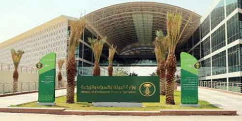 «البيئة» تحظر صيد أسماك الباغة على ساحل البحر الأحمر 