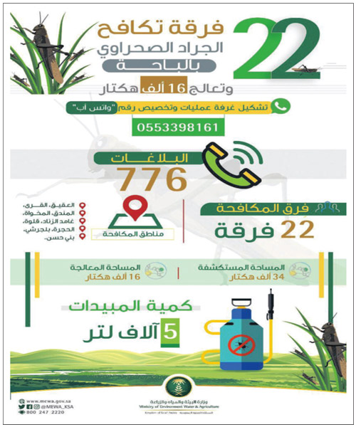 «البيئة»: 22 فرقة تكافح الجراد الصحراوي بالباحة.. وتعالج 16 ألف هكتار 