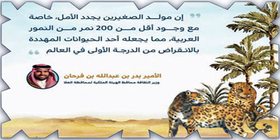 مولد صغيرين للنمر العربي المهدد بالانقراض 