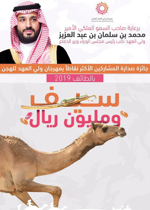 سيف ومليون.. للأكثر نقاطًا في مهرجان ولي العهد للهجن 