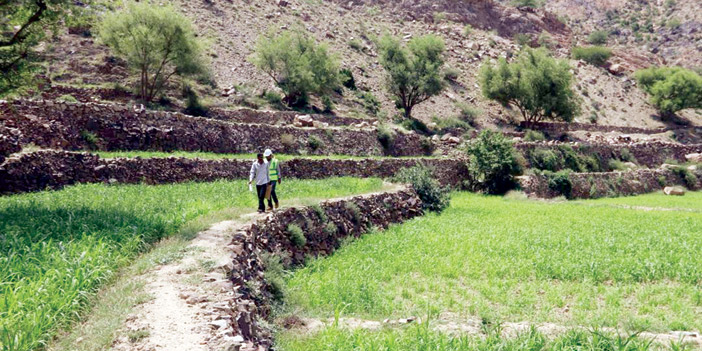  جانب مشروع بناء وإصلاح مدرجات زراعية في مديرية حالمين بمحافظة لحج