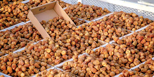 النقيدان: صحة المستهلك وجودة الإنتاج هما الأهم 