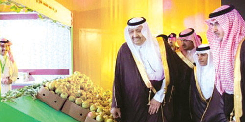 أمير منطقة الباحة يفتتح مهرجان الرمان الثامن