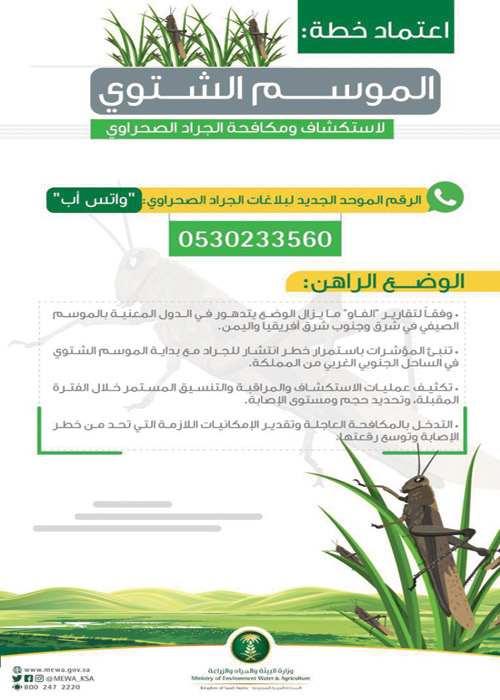 خصصت رقمًا موحدًا للبلاغات المباشرة 