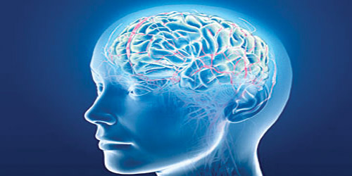 HM.. علامة فارقة في تاريخ الدماغ 