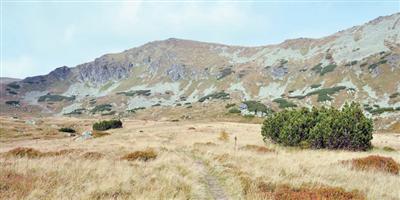 إليها.. حيرة العارفين 