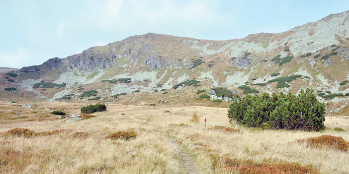 إليها.. حيرة العارفين 