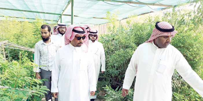  مشتل بلدية النعيرية