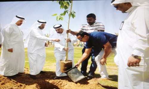  الشرعان والغامدي أثناء زراعة إحدى الأشجار
