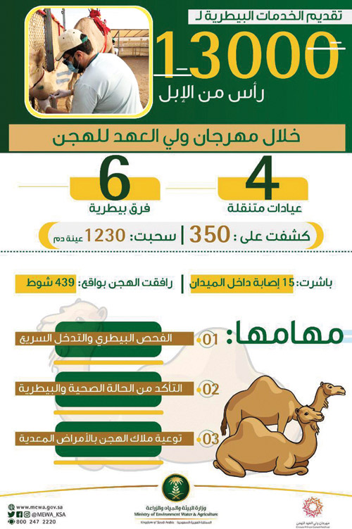 «البيئة» تقدم خدماتها البيطرية لـ(13) ألف رأس من الإبل 