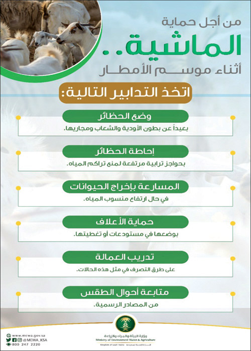 «البيئة» تحذر مربي الماشية من مواسم الأمطار 