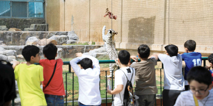  عدد من الأطفال في حديقة الحيوان