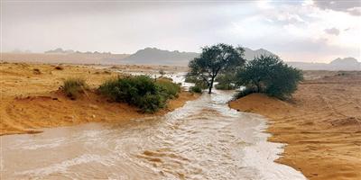 الأمطار تتواصل لثلاثة أيام على محافظة الشملي 