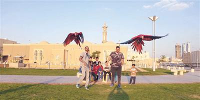 شباب يطوّع طيور الببغاء للطيران الحر 