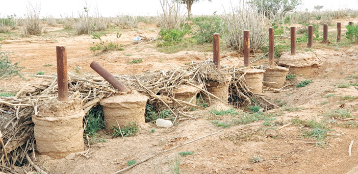 مختصون بيئيون: الرعي الجائر يرفع مساحات التصحر وانتقال الرمال إلى المدن 
