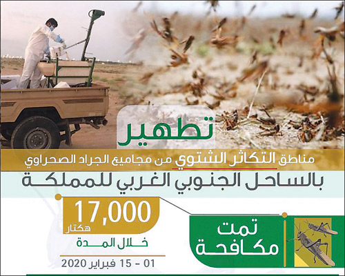 «البيئة» تعلن: انتهاء عمليات مكافحة الجراد في الموسم الشتوي 