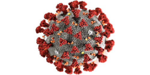الصين تبدأ تجارب سريرية على لقاح لفيروس كورونا 
