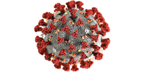 ما الجديد للكلوروكين والهيدروكسي في معالجة كورونا؟ 