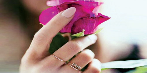 فن الترجمة الأدبية 