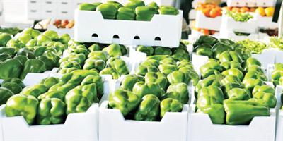 خضراوات القطيف.. 2000 مزرعة تضخ الفواكه للمواطنين 