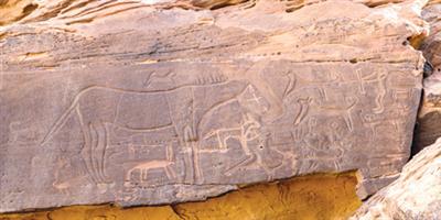 رسوم صخرية في شمال المملكة 