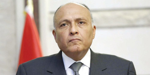  وزير الخارجية المصري