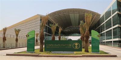 بيئة المدينة المنورة تقوم بجولات تفتيشية على المراعي والغابات 