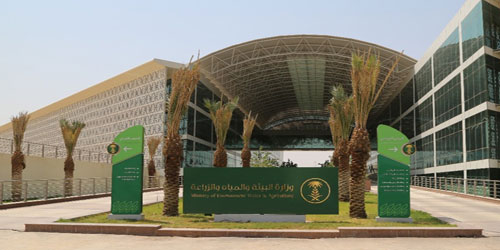 بيئة المدينة المنورة تقوم بجولات تفتيشية على المراعي والغابات 