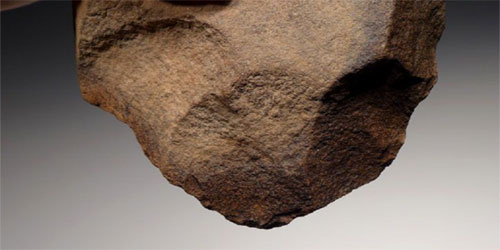 أقدم تواجد بشري على مصر عمره 2 مليون سنة 