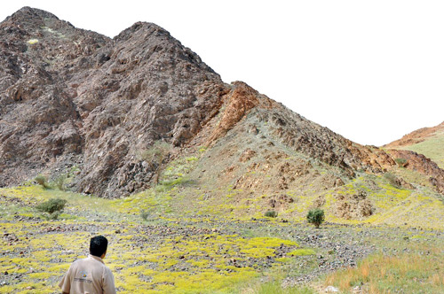 على مساحة تصل إلى أكثر من 600 ألف كيلو متر مربع 