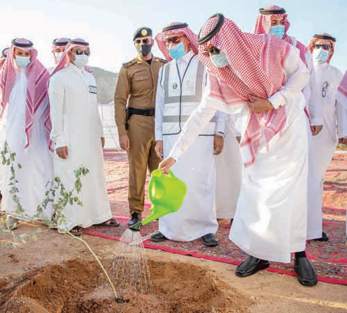  سمو نائب أمير منطقة حائل يشارك في زراعة أول شتلة