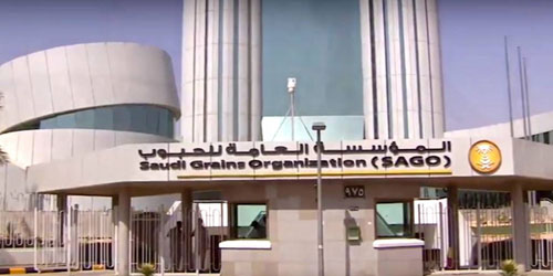 «الحبوب» تبدأ بصرف مستحقات الدفعة التاسعة لمزارعي القمح 