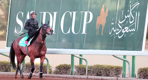 4 أشواط في أمريكا واليابان لسباقات الخيل تُؤهل الفائزين للمشاركة في كأس السعودية 