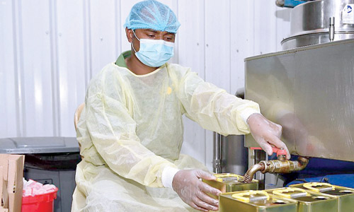 معاصر الزيتون تستقبل نتاج 800 ألف شجرة 