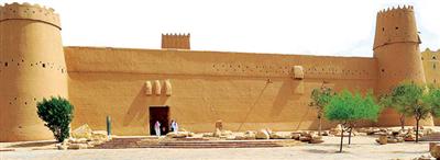 الشموخ والعطاء 