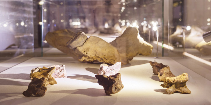 فؤوس حجرية استخدمت في وادي فاطمة قبل 40 ألف عام 