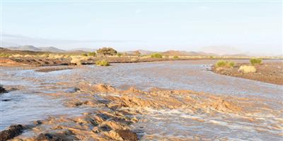 تبوك تغتسل بالبرد والأمطار 