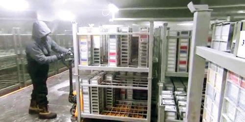  شركات سعودية تساهم بخبراتها