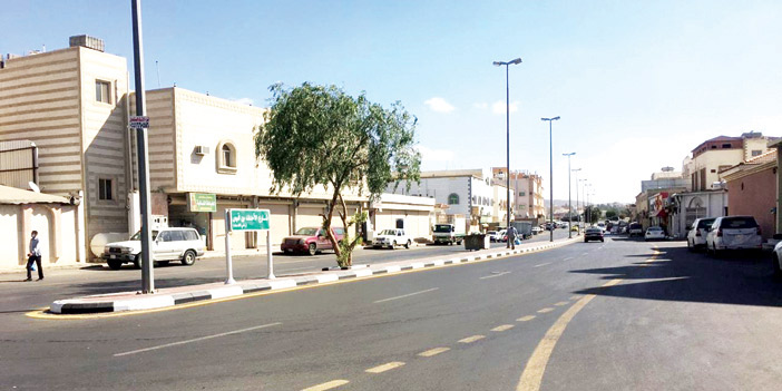 تأهيل شوارع الطائف خدمياً 