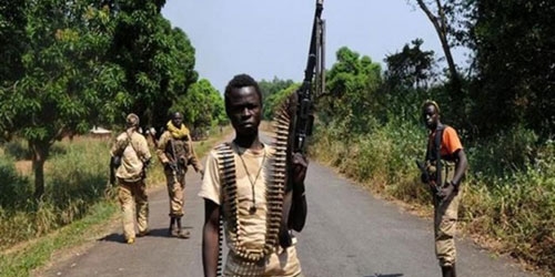 المتمردون ينفذون هجومين في إفريقيا الوسطى 