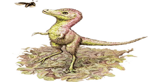 دراسة تكشف ما تبدو عليه صغار التيرانوصورات عندما تفقس 