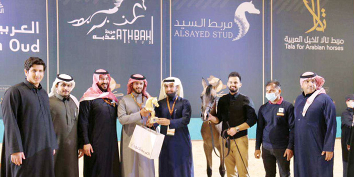 المهر جوهر السيد يحقق المركز الرابع في بطولة المملكة لجمال الخيل العربية (كحيلة) 