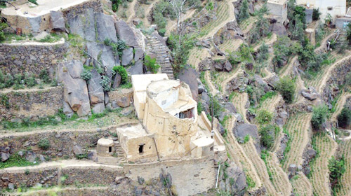  إحدى مدرجات فيفاء الزراعية